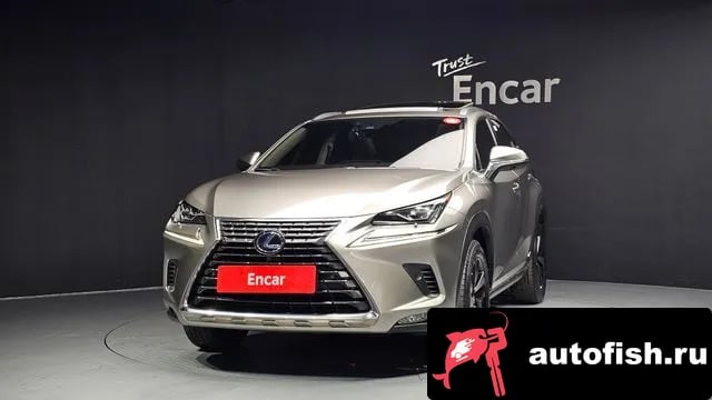 Lexus NX NX300h 2021 года - вид 3
