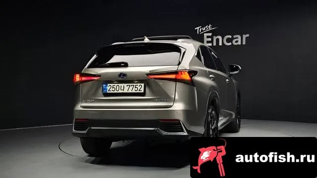Lexus NX NX300h 2021 года - похожие автомобили