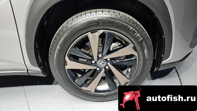 Lexus NX NX300h 2021 года - вид 5