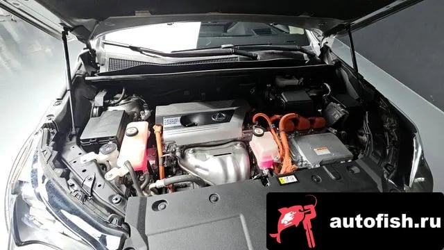 Lexus NX NX300h 2021 года - вид 6