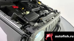 Миниатюра 6