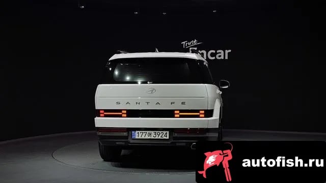 Hyundai Santafe San Tafe (MX5) 2024 года - вид 4