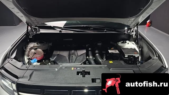 Hyundai Santafe San Tafe (MX5) 2024 года - вид 6