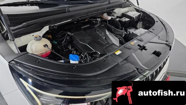 Kia Carnival The New Carnival 4th Generation 2024 года - вид 5