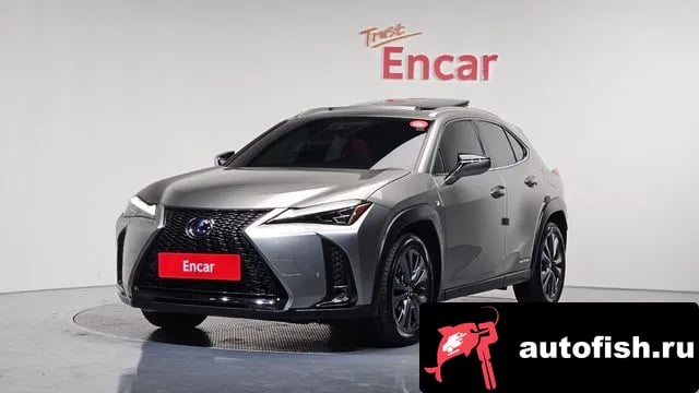 Lexus UX UX250h 2021 года - вид 1