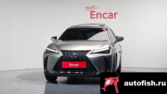 Lexus UX UX250h 2021 года - вид 3