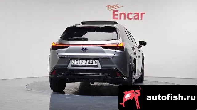Lexus UX UX250h 2021 года - вид 4