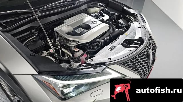 Lexus UX UX250h 2021 года - вид 6