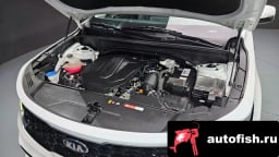 Миниатюра 6