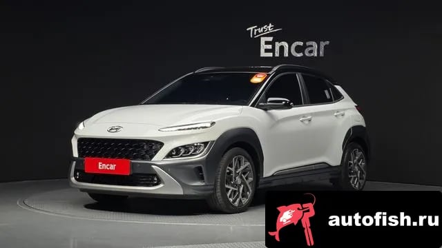 Hyundai Kona The New Kona Hybrid 2020 года - вид 1