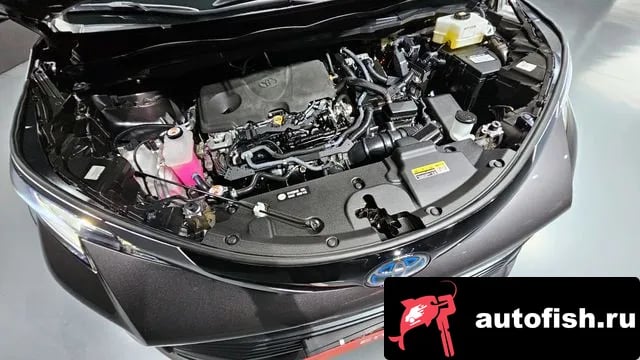 Toyota Sienna Siena 4th Generation 2023 года - вид 6