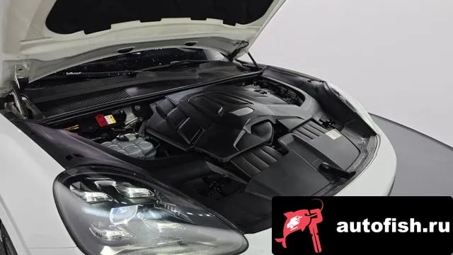 Porsche Cayenne Cayenne (PO536) 2020 года - вид 6