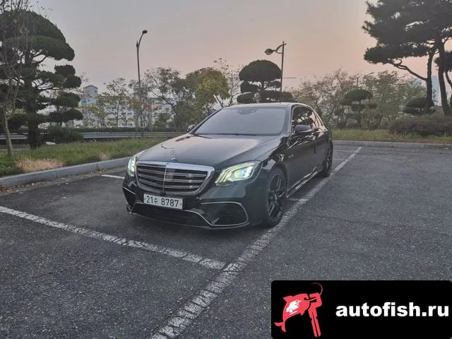 Mercedes-Benz S-Class S-Class W222 2019 года - вид 1