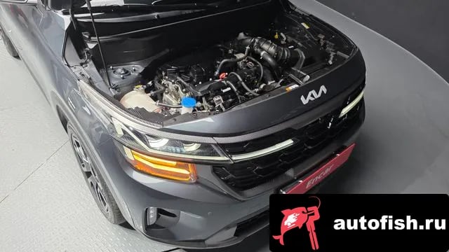 Kia Seltos The New Celtos 2023 года - вид 6