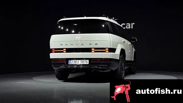Hyundai Santafe San Tafe (MX5) 2024 года - вид 4