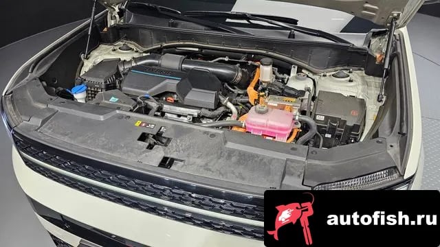 Hyundai Santafe San Tafe (MX5) 2024 года - вид 6