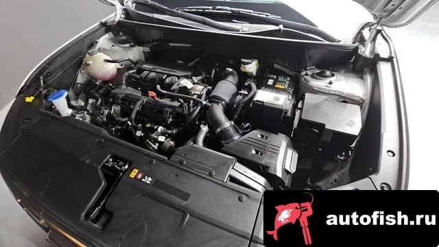 Hyundai Tucson The New Tucson (NX4) 2022 года - вид 6