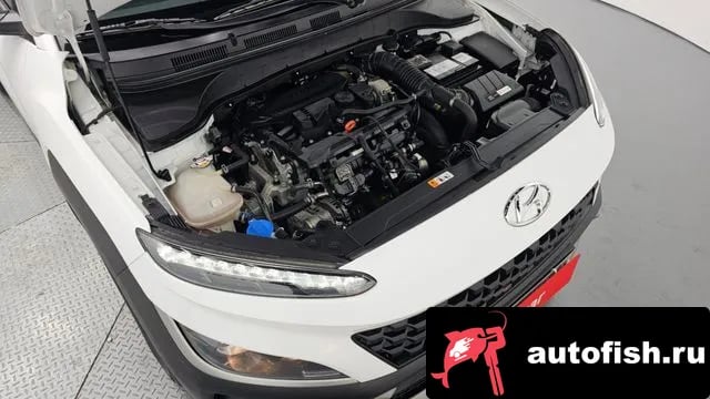 Hyundai Kona The New Kona 2022 года - вид 6