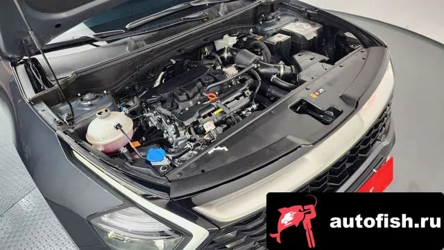 Kia Sportage Sportage 5th Generation 2024 года - вид 6