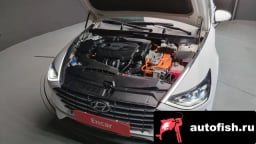 Миниатюра 6