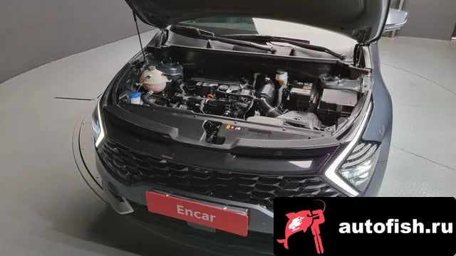 Kia Sportage Sportage 5th Generation 2021 года - вид 6