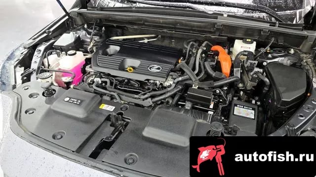 Lexus NX NX350h Second generation 2023 года - вид 6