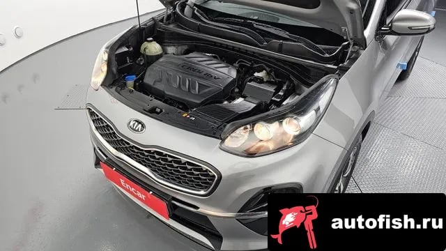 Kia Sportage Sportage The Bold 2019 года - вид 6