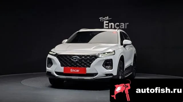 Hyundai Santafe San Tafe TM 2019 года - вид 3