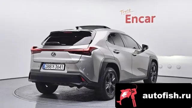 Lexus UX UX300h 2024 года - вид 2