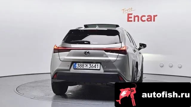 Lexus UX UX300h 2024 года - вид 4