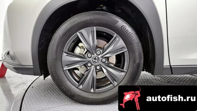 Lexus UX UX300h 2024 года - вид 5