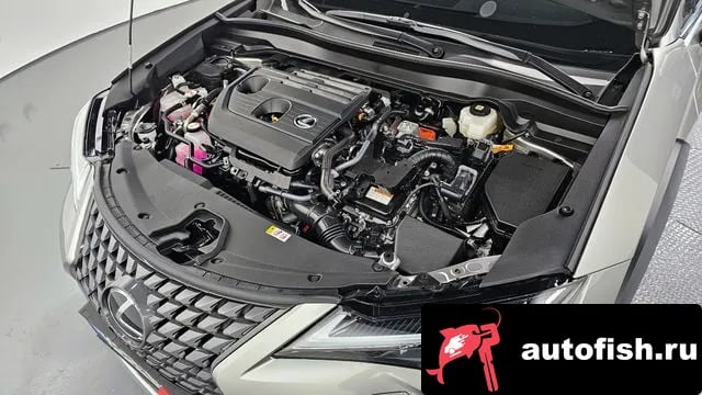 Lexus UX UX300h 2024 года - вид 6
