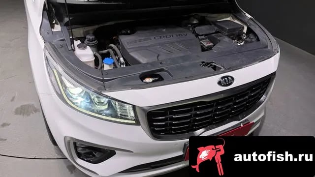 Kia Carnival The New Carnival 2019 года - вид 6