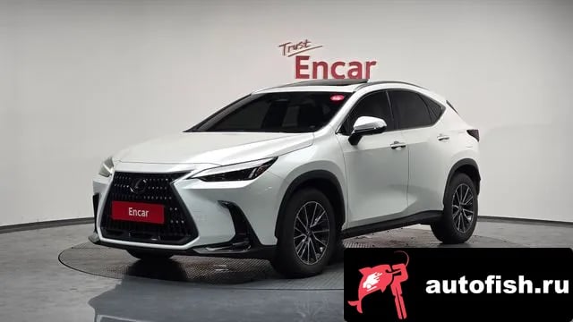 Lexus NX NX450h + 2nd generation 2024 года - вид 1