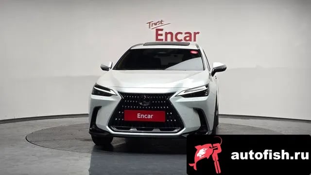 Lexus NX NX450h + 2nd generation 2024 года - вид 3