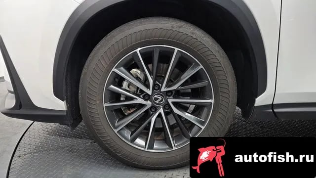 Lexus NX NX450h + 2nd generation 2024 года - вид 5