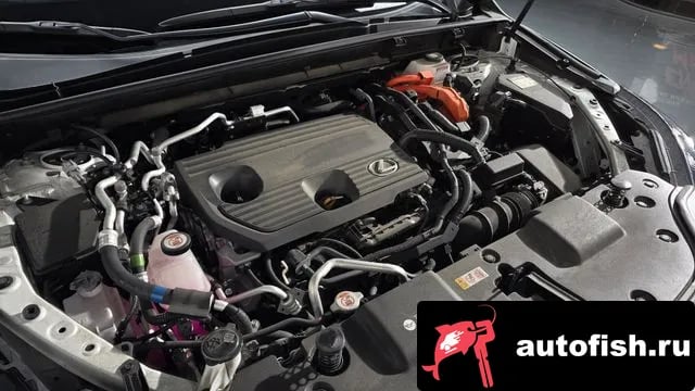 Lexus NX NX450h + 2nd generation 2024 года - вид 6