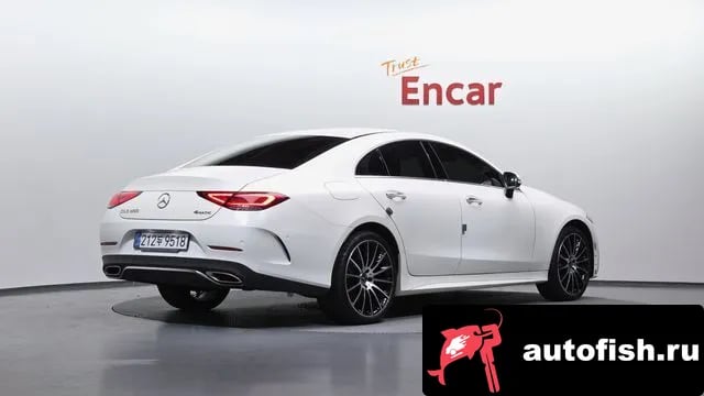 Mercedes-Benz CLS-Class CLS-Class C257 2020 года - вид 2
