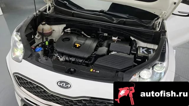 Kia Sportage Sportage The Bold 2018 года - вид 6