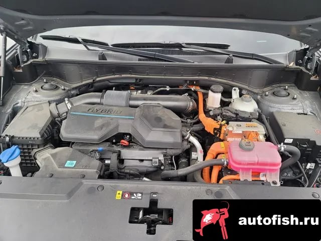 Hyundai Santafe San Tafe (MX5) 2024 года - вид 6