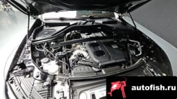 Миниатюра 6