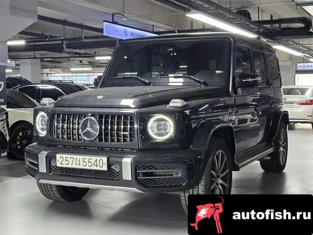 Mercedes-Benz G-Class G-Class W463b 2020 года - вид 1