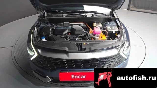 Kia Sportage Sportage 5th Generation Hybrid 2021 года - похожие автомобили