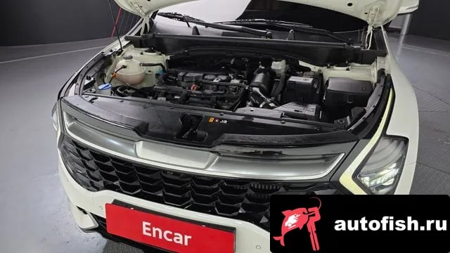 Kia Sportage Sportage 5th Generation 2023 года - вид 6