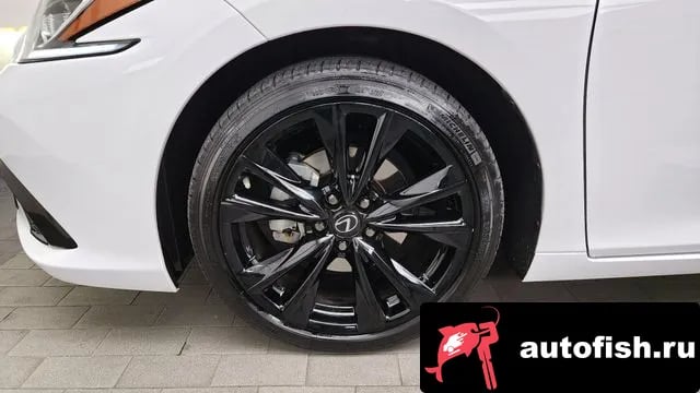 Lexus ES ES300h 7th generation 2024 года - вид 5