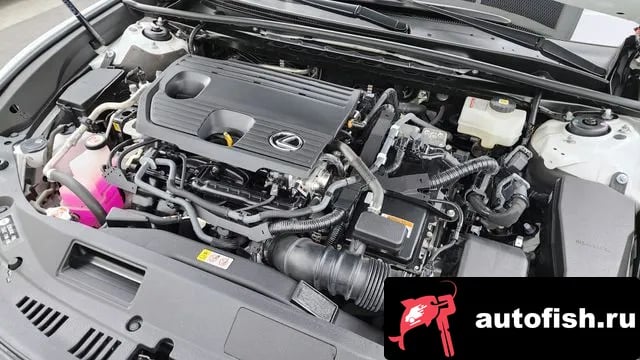 Lexus ES ES300h 7th generation 2024 года - вид 6