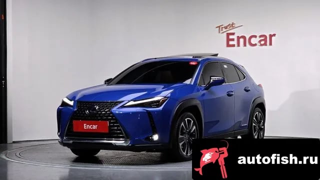 Lexus UX UX250h 2019 года - похожие автомобили