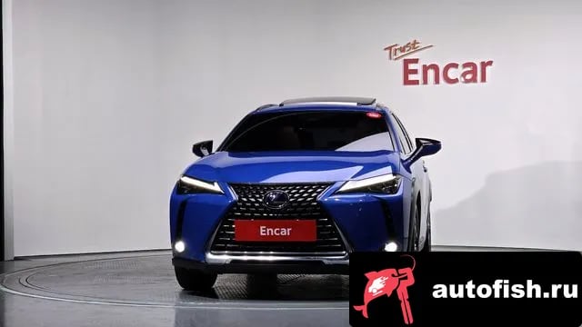 Lexus UX UX250h 2019 года - вид 3