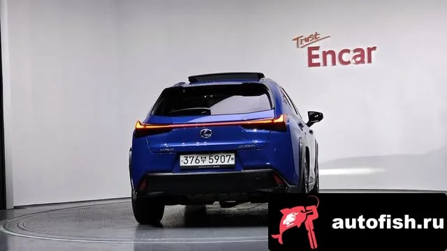 Lexus UX UX250h 2019 года - вид 4