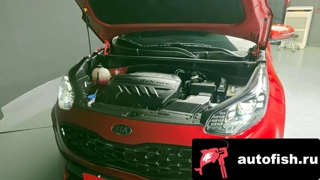 Kia Sportage Sportage The Bold 2020 года - вид 6